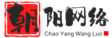 南通朝阳网络科技有限责任公司-提供移动网站及移动互联网技术最优解决方案